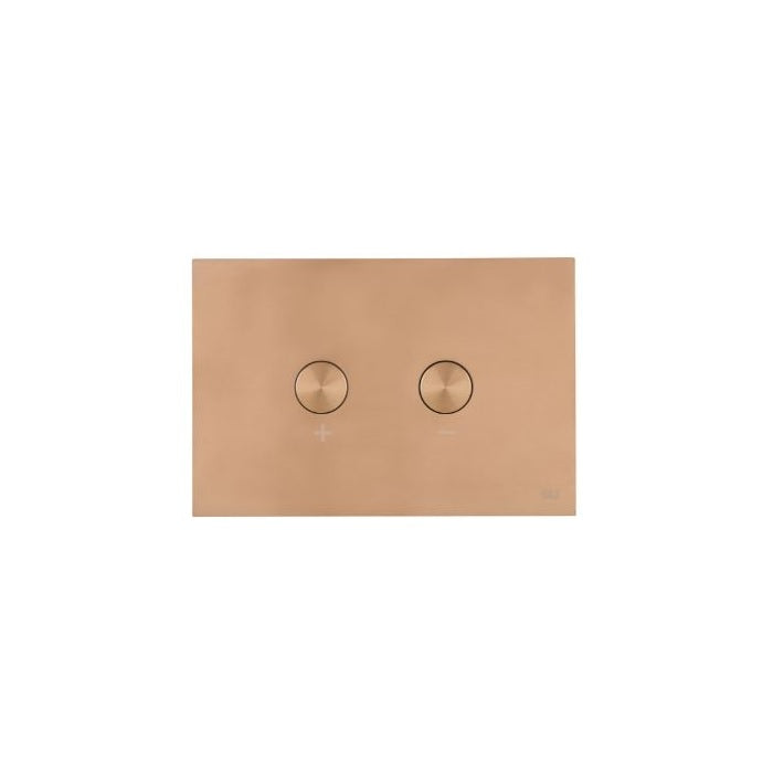 Oli Pneumatic Stainless Steel Flush Plate