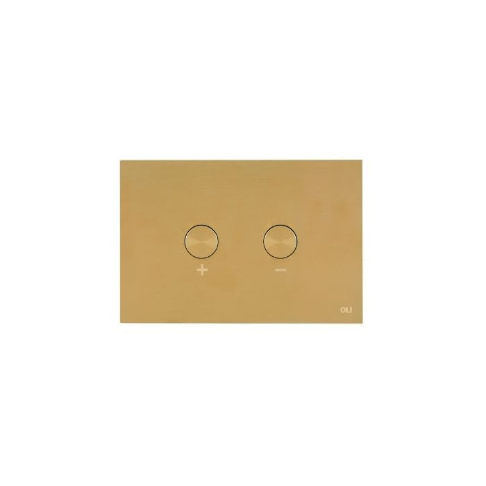 Oli Pneumatic Stainless Steel Flush Plate