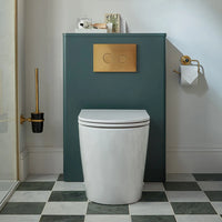 Vado Cameo Back To Wall WC Unit
