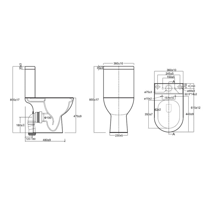 Tailored Tornio Rimless Comfort Height Open Back D-Shape Close Coupled Toilet with Soft Close Seat