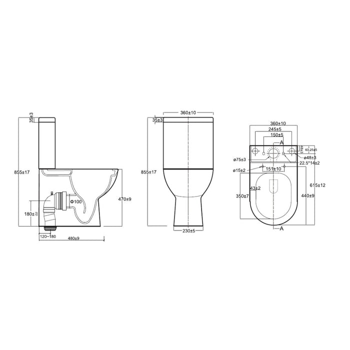 Tailored Tornio Rimless Comfort Height Closed Back D-Shape Close Coupled Toilet with Soft Close Seat