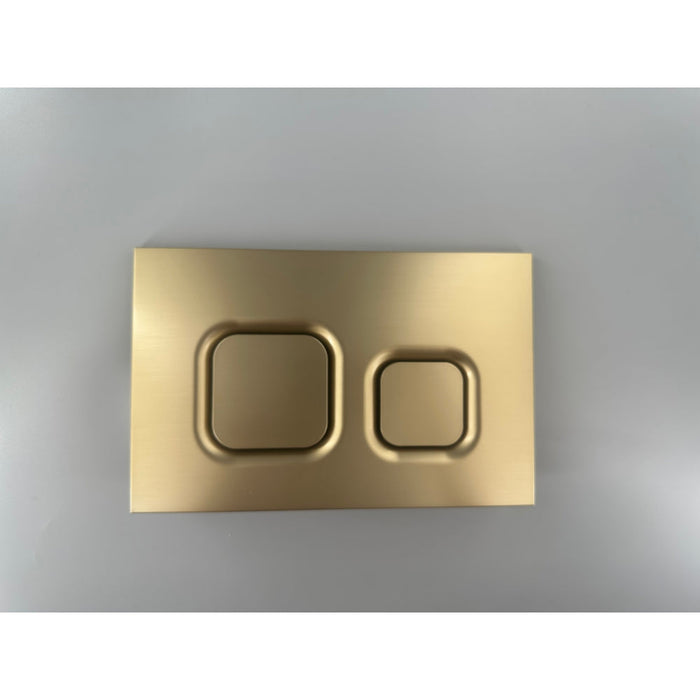 Tailored Wall Hung Toilet Frame & Pneumatic Concealed Cistern with Flush Button Plate