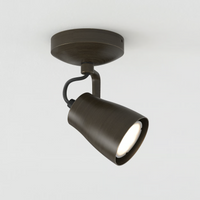 Astro Juno Single Wall/Ceiling Light - Bronze - Bathroom
