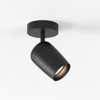 Astro Koto Single Ceiling/Wall Light - Matt Black