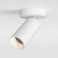 Astro Can Single Ceiling/Wall Light - Matt White - Bathroom