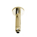 BC Designs Victrion Ceiling Mounted Shower Arm - Gold