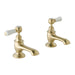 BC Designs Victrion Lever Bath Pillar Taps Pair - Brushed