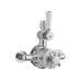 BC Designs Victrion Twin Exposed Shower Valve - Brushed
