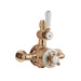 BC Designs Victrion Twin Exposed Shower Valve - Brushed