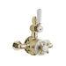 BC Designs Victrion Twin Exposed Shower Valve - Brushed