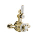 BC Designs Victrion Twin Exposed Shower Valve - Gold