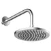 Britton Hoxton Fixed Shower Head with Wall Mounted Arm