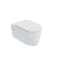 Britton Stadium Wall Hung Toilet And Soft Close Seat