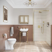 Burlington Guild Rimless Back To Wall Toilet - White - Back