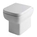 Eastbrook Bijou Comfort Height Back To Wall Toilet