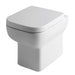 Eastbrook Bijou Rimless Back To Wall Toilet With Soft Close