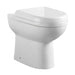 Eastbrook Dura Rimless Comfort Height Back To Wall Toilet