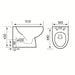 Eastbrook Farringdon Rimless Back To Wall Toilet With Soft