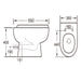 Eastbrook Osterley Eco Vortex Back To Wall Toilet With Soft