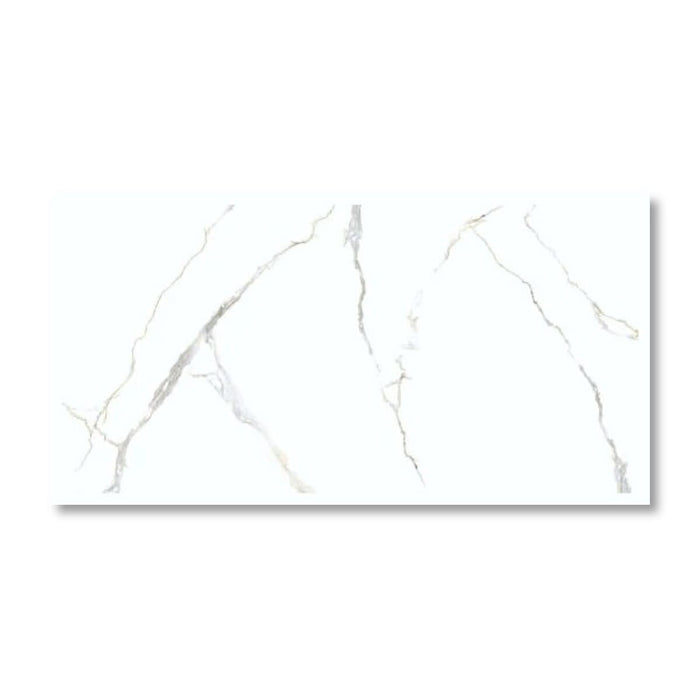 Eleganza Polished Porcelain Wall & Floor Tile
