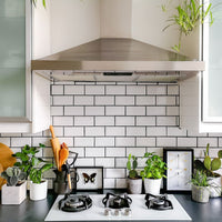 Euforico White Glossy Ceramic Wall Tile