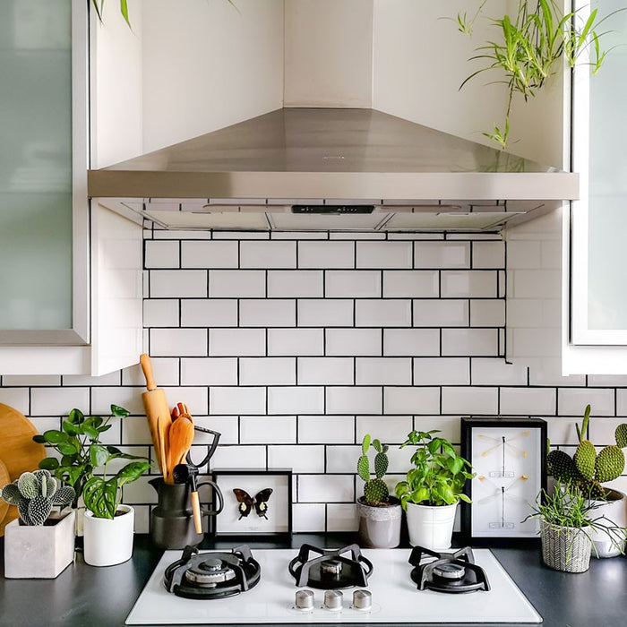 Euforico White Glossy Ceramic Wall Tile
