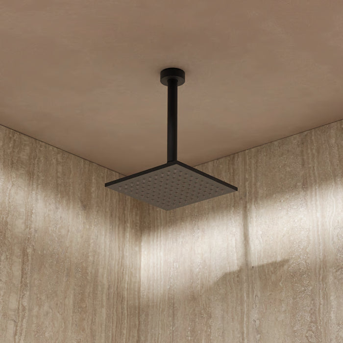 Crosswater Zion Shower Head