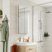 HiB Eris 2 Door Mirror Cabinet - Aluminium - Non
