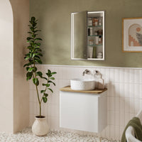 HiB Vanquish 1 Door Illuminated LED Mirror Cabinet - 730mm