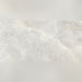 Lucca Fiori Pearl Pol Rect Porcelain Tile 60x120 - 60cm x