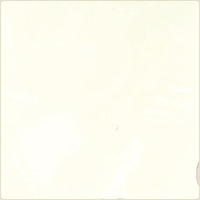 Lucca Luna Bone Bathroom & Kitchen Tile 13x13 - 13cm x 13cm
