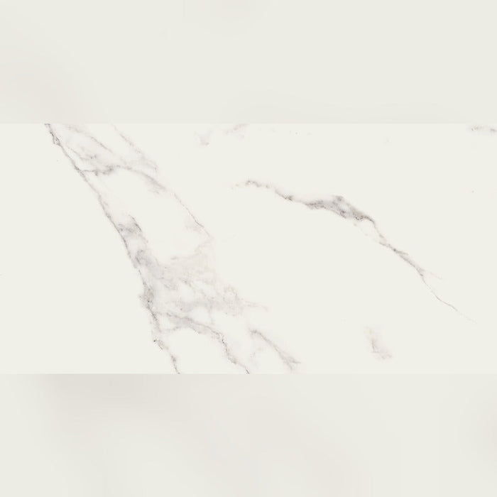 Lucca Raggio White Matt Rect Porcelain Tile 60x120 - 60cm x