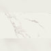 Lucca Raggio White Matt Rect Porcelain Tile 60x120 - 60cm x