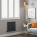 Lussaro Brisa Vertical Designer Radiator - Anthracite