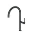 Hannah Single Lever Kitchen Mixer Tap - Orca Black
