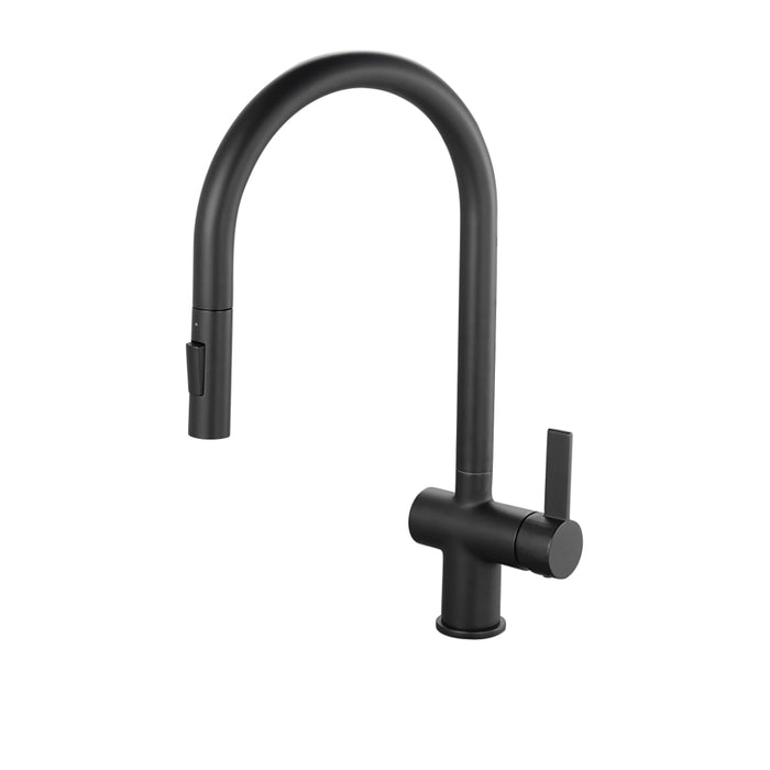 Layla Single Lever Pull Out Kitchen Mixer Tap - Black