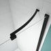 Merlyn Black Hinge and Inline Shower Door In Recess