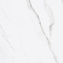 Monterosa Polished Porcelain Wall & Floor Tile