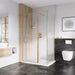 Roman Haven Pivoting Deflector Panel - 10mm Glass - Brushed