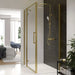 Sonas Aspect 8mm Hinged Shower Door With Side Panel