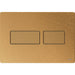 Tece Solid Dual Flush Plate for Concealed Cistern - Brushed