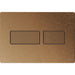 Tece Solid Dual Flush Plate for Concealed Cistern - Brushed