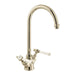 Vado Axbridge Lever Kitchen Mixer Tap - Bright Nickel - All