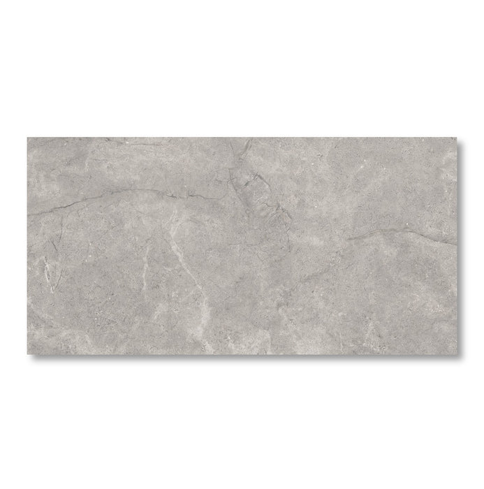 Valdoro Grey Matt Porcelain Wall & Floor Tile