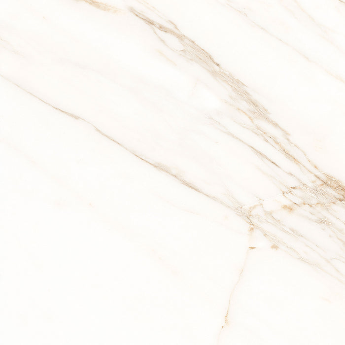 Verona White Matt Structured Porcelain Wall & Floor Tile